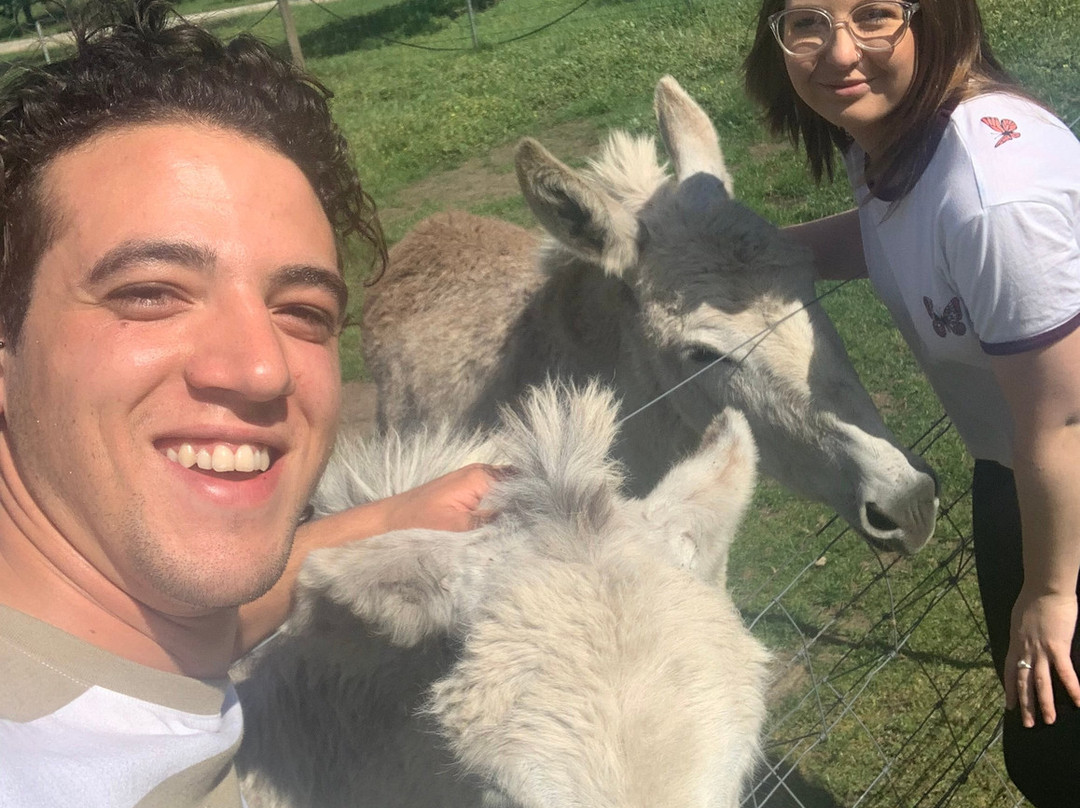 Yileena Park-亚拉格林必去景点