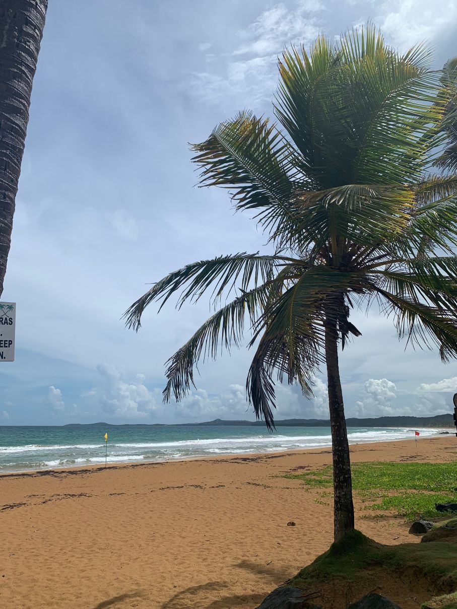 Fairfield by Marriott Luquillo Beach-泳池