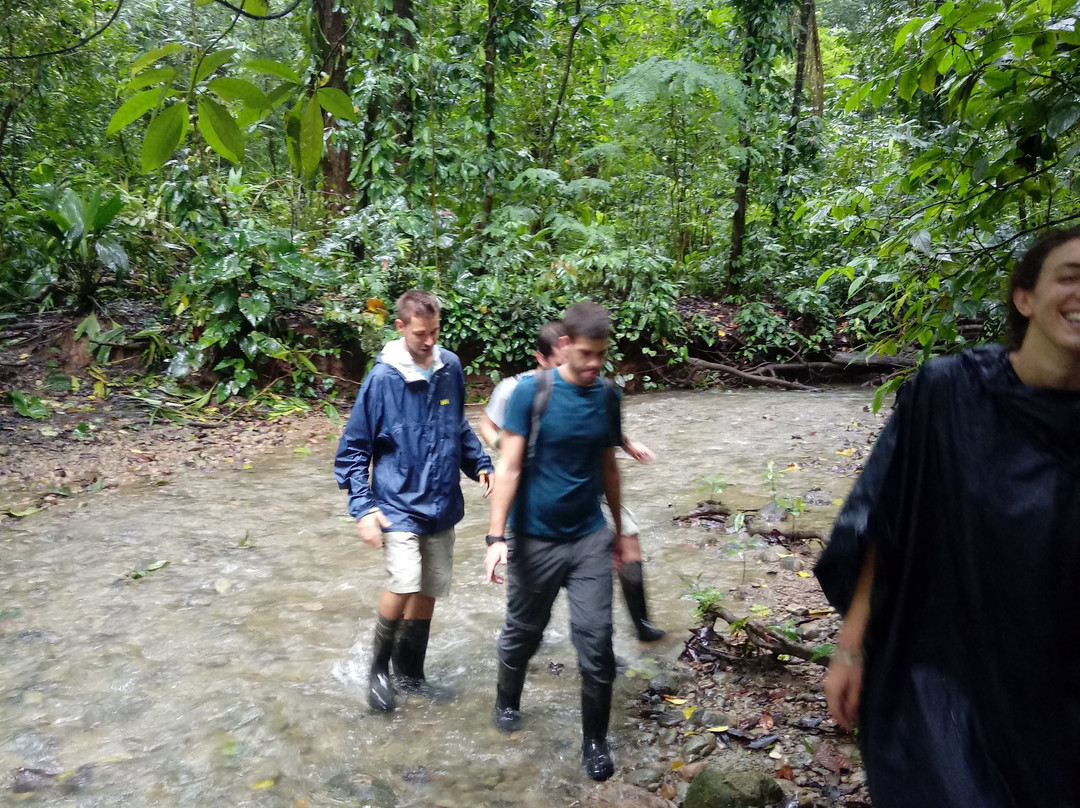 Sirena Ranger Station-Corcovado National Park必去景点