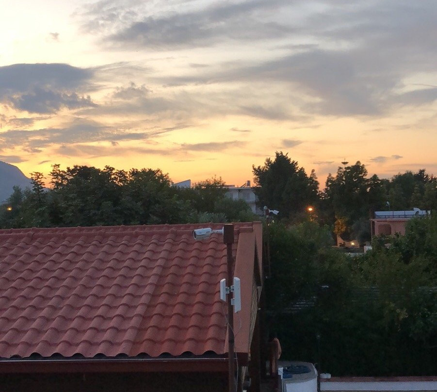 Citrus Tree Gardens主图