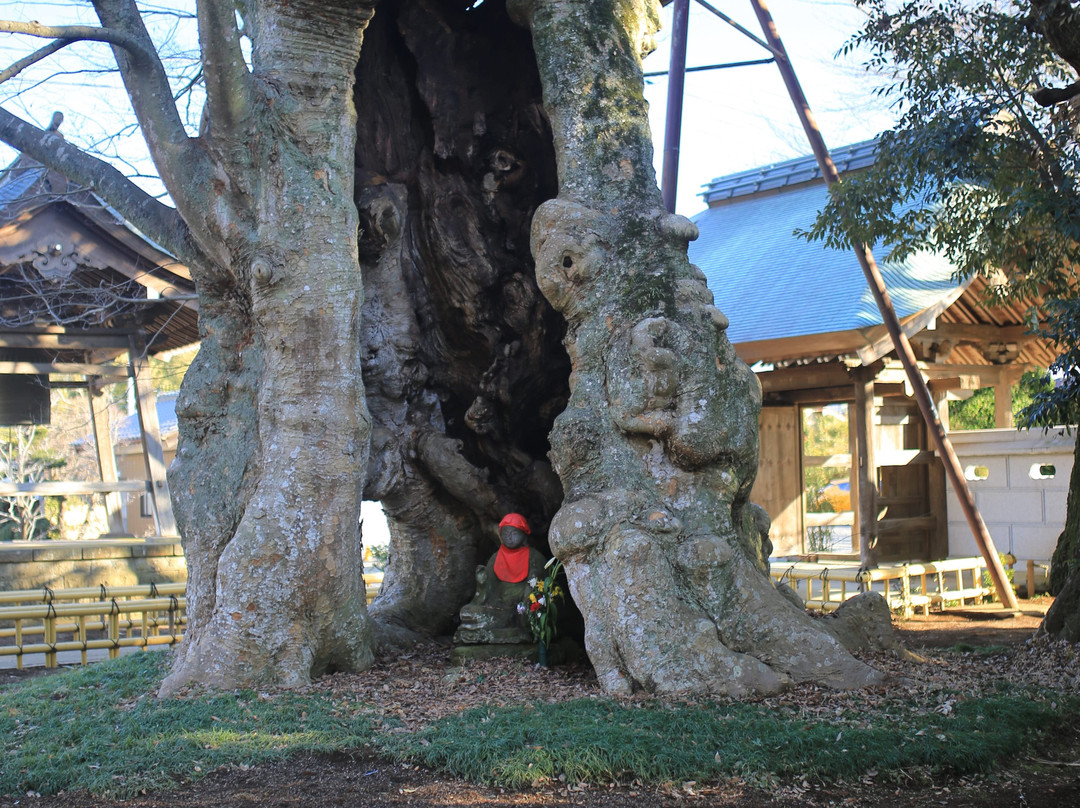 Kogen-ji Temple-取手市必去景点
