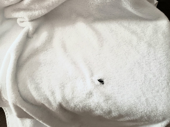 Sultan Inn Boutique Hotel主图