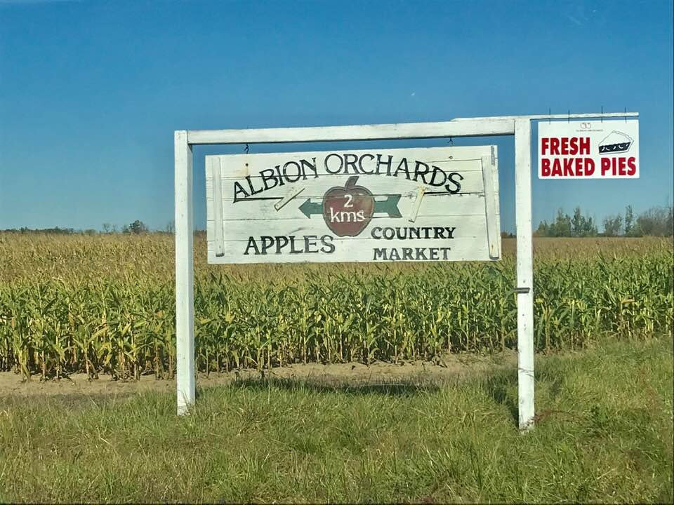 Albion Orchards & Country Market-卡利登必去景点
