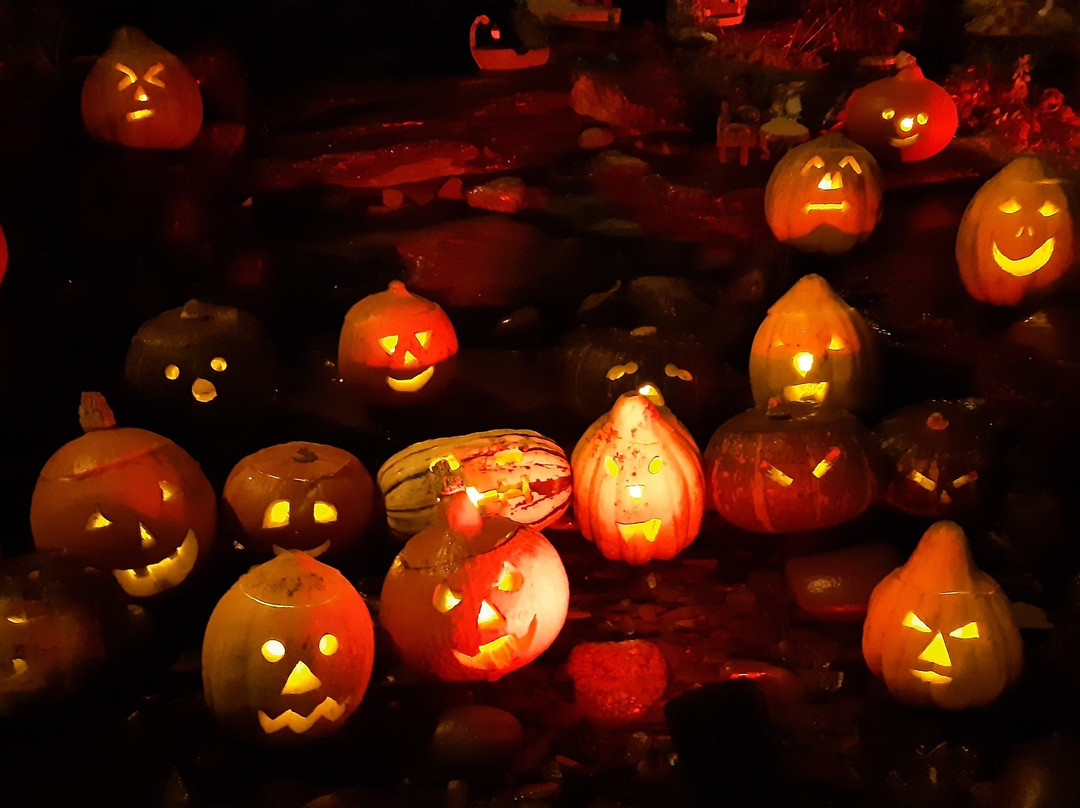 Shepton Mallet Fairy Trail-Shepton Mallet必去景点
