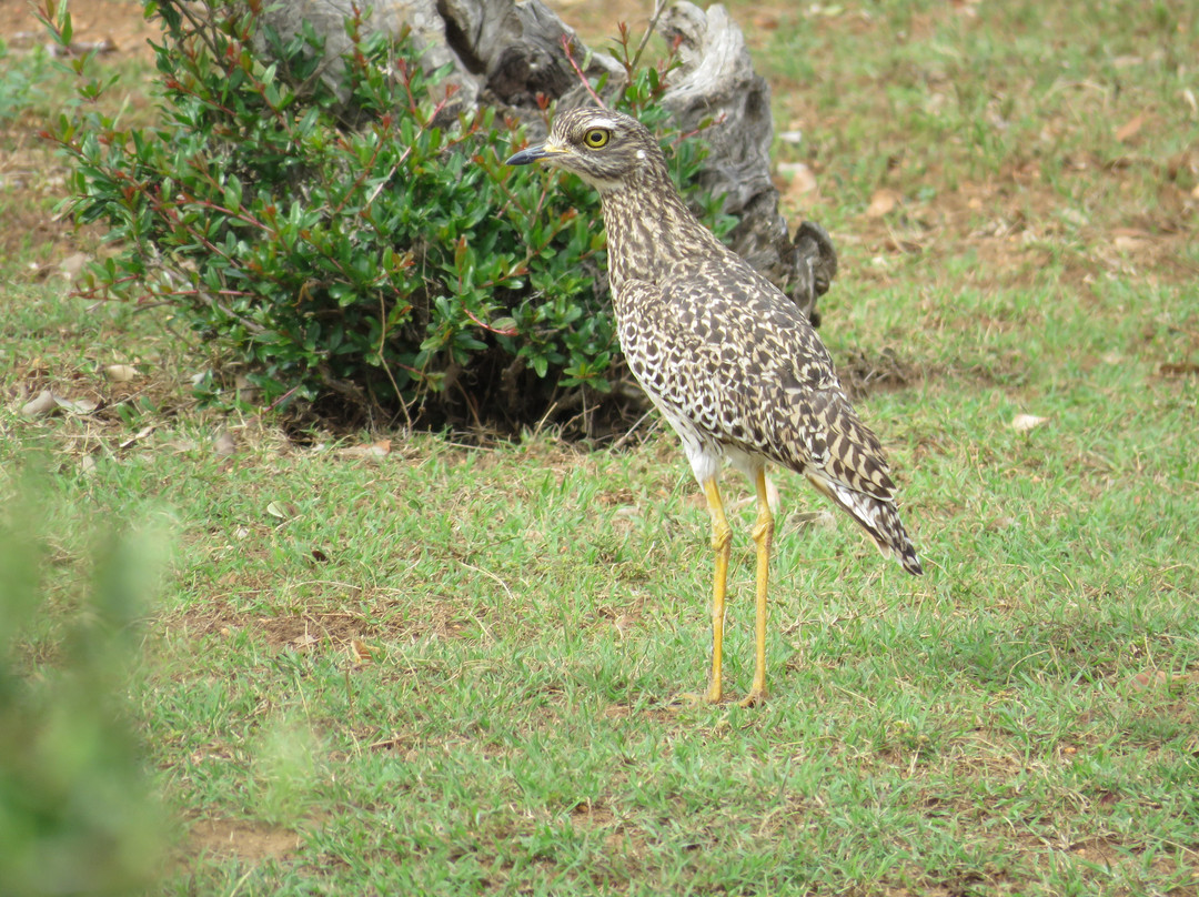 Dekotzenhof Guest House & Camp Inc.158主图