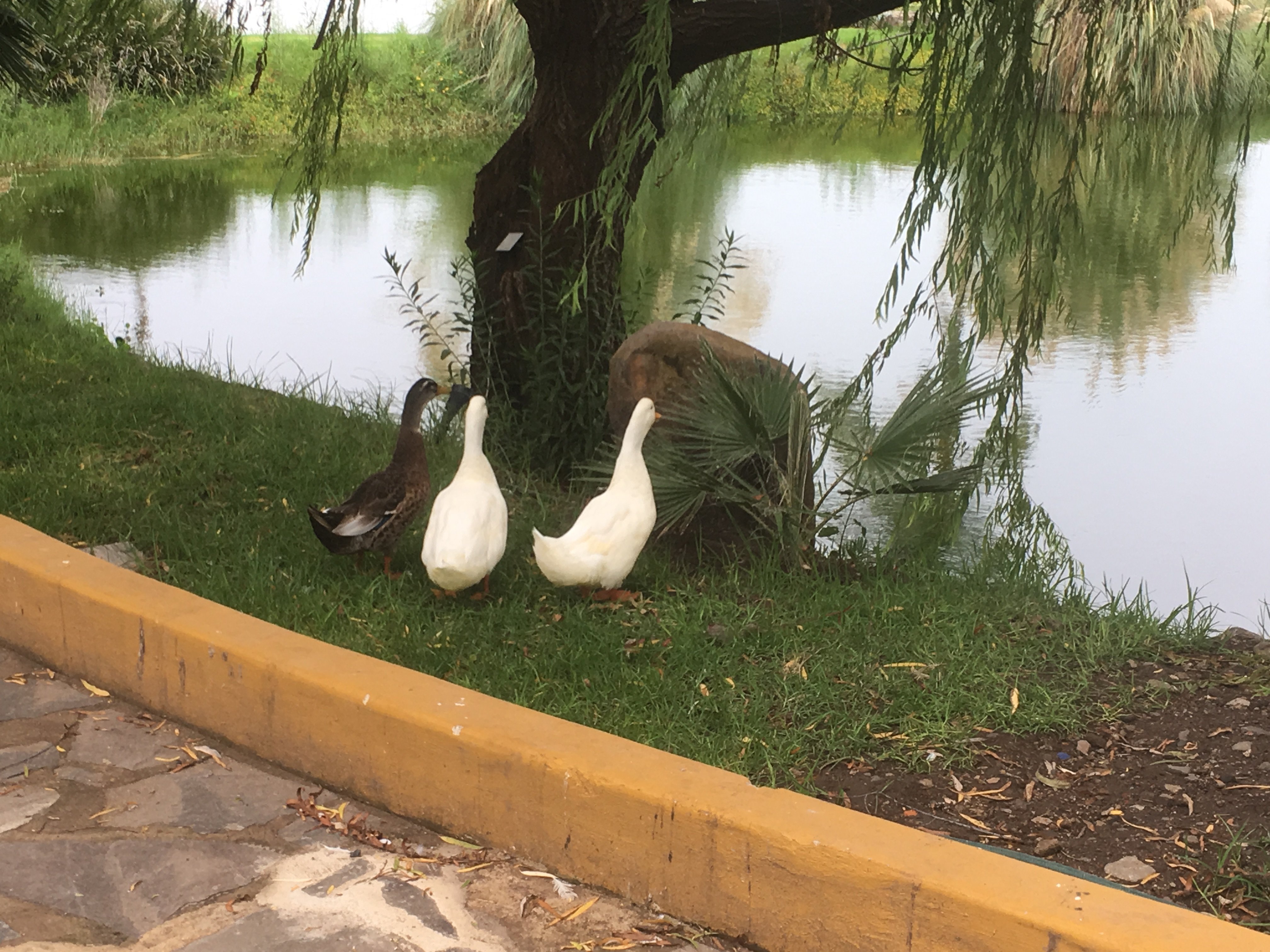 Quinta San Carlos-浴室