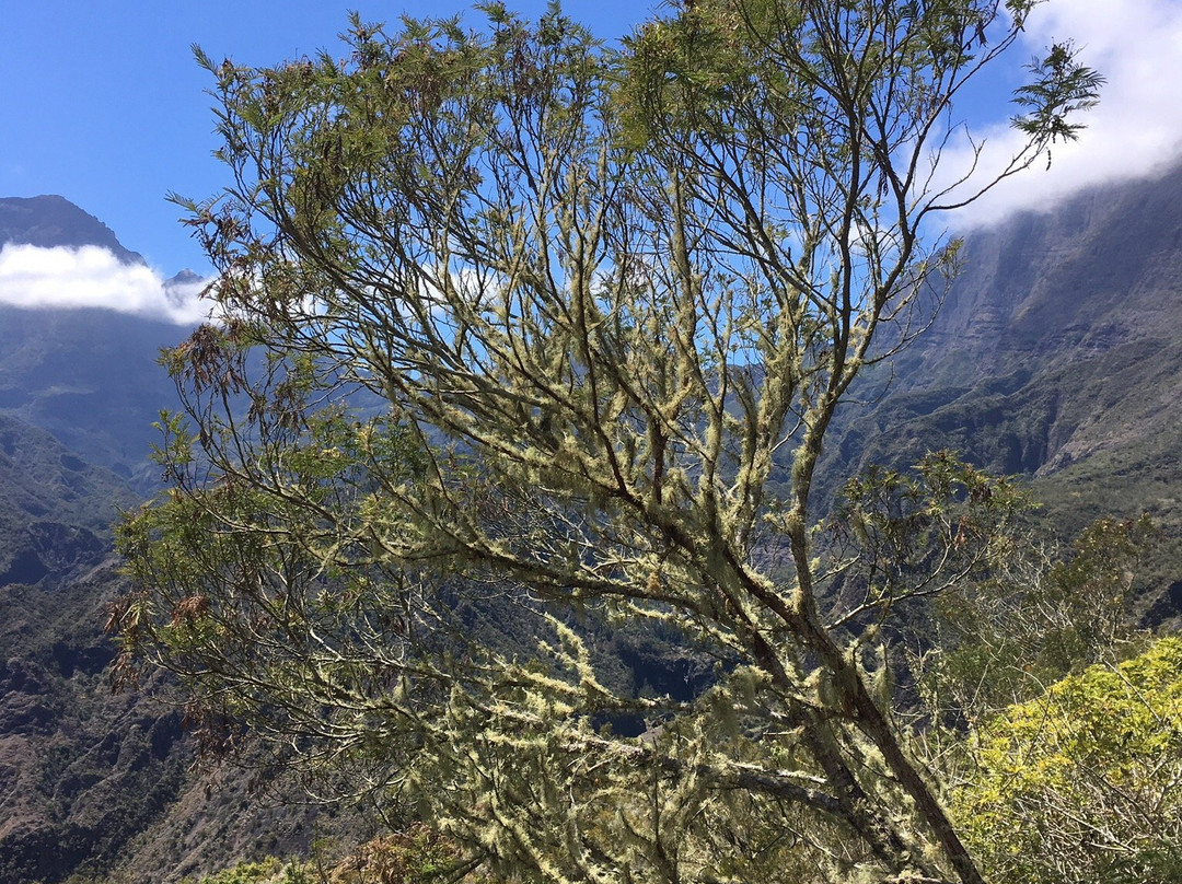 Samaran Trekking景点图片