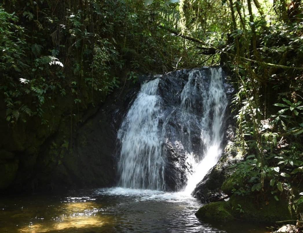 Parque Estadual Intervales-Ribeirao Grande必去景点