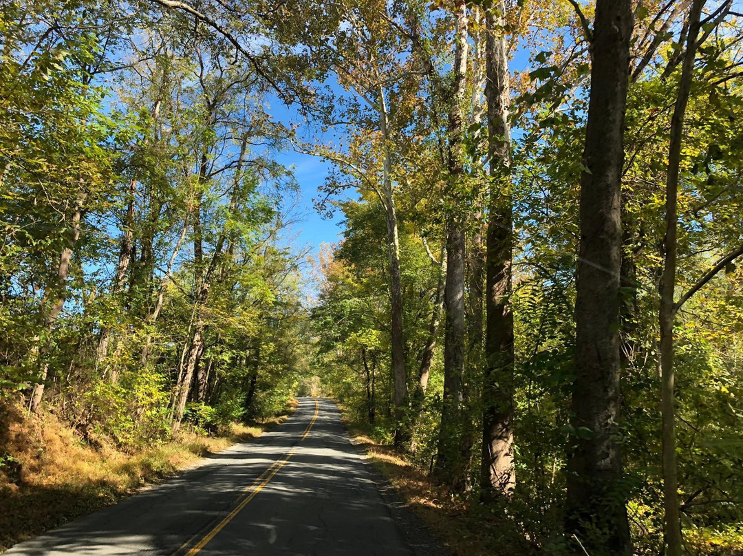 The Manor at Airmont主图