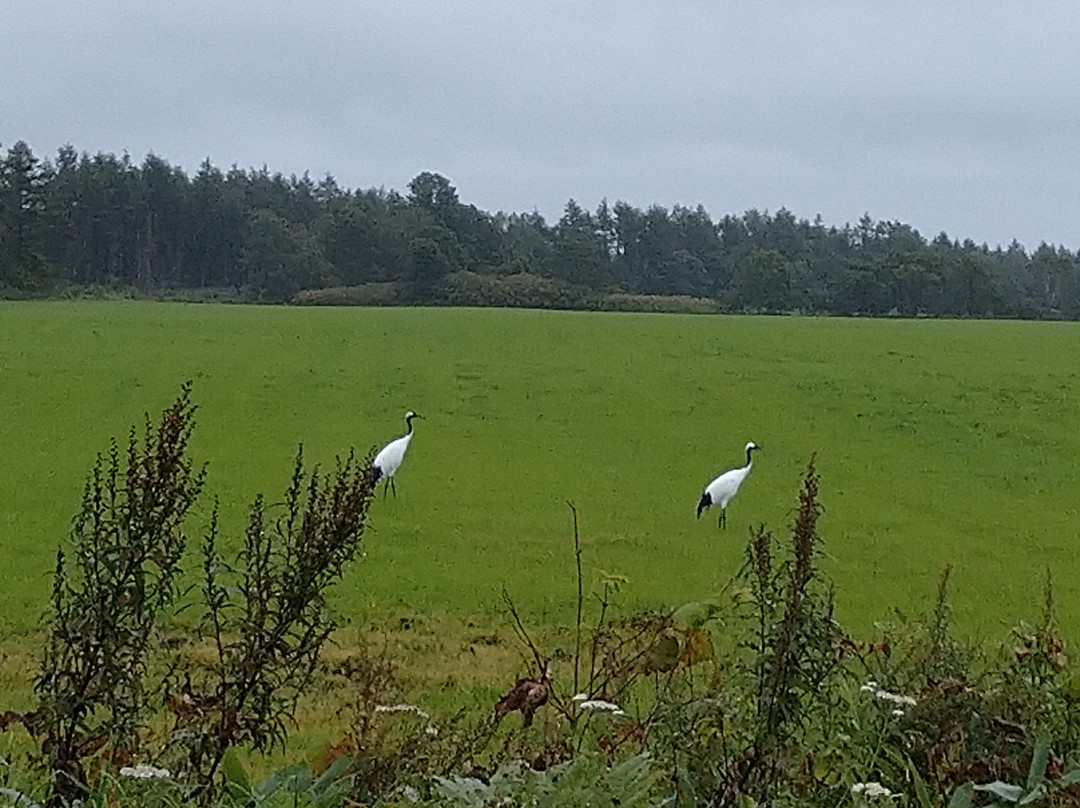 Salmon Road-标津町必去景点