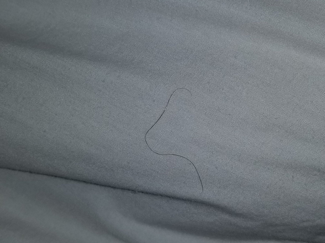 科奇曼旅馆主图