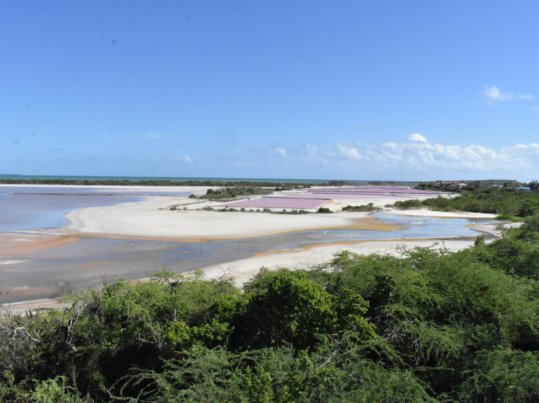 Salt Flats and Wildlife Refuge景点图片