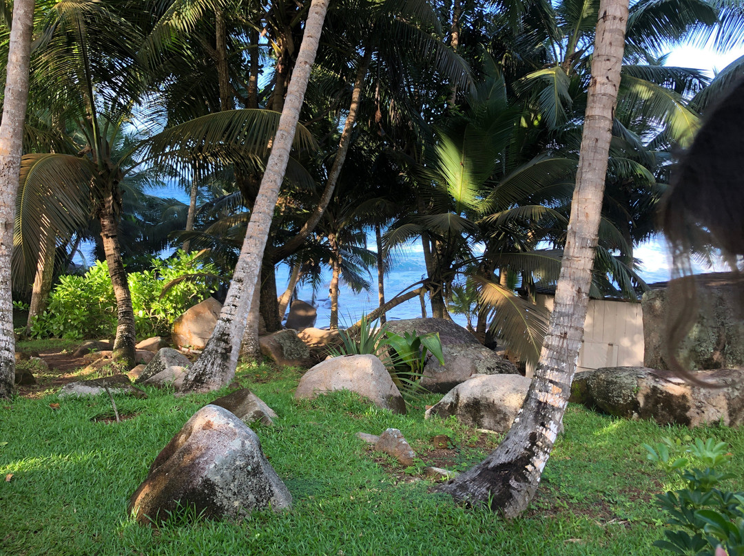 Domaine Desaubin Luxury Villas主图