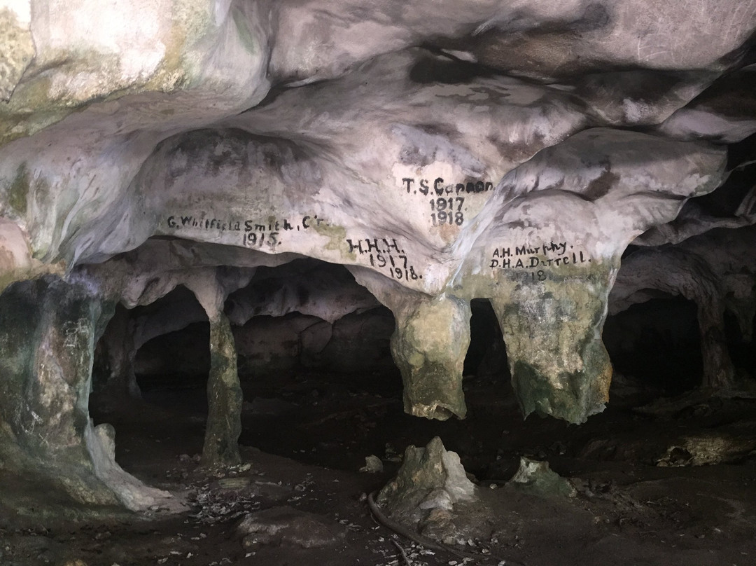 Conch Bar Caves景点图片