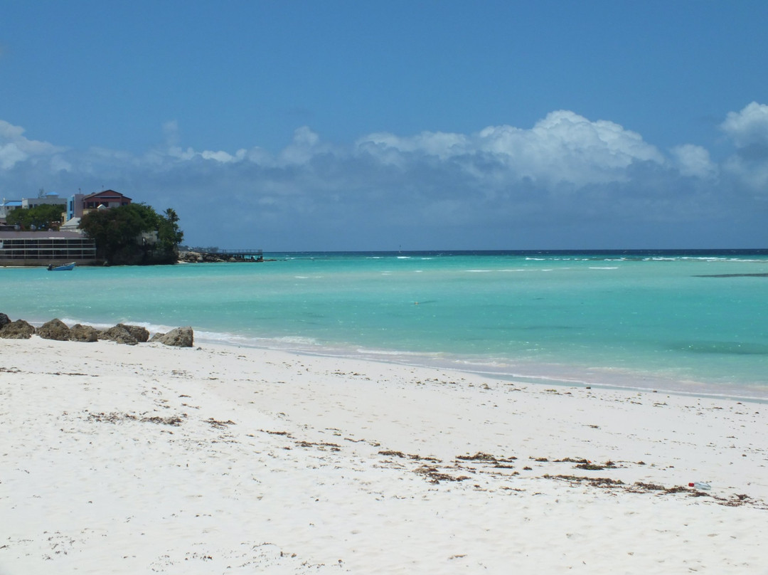 Worthing旅游景点-Coast Beach Club