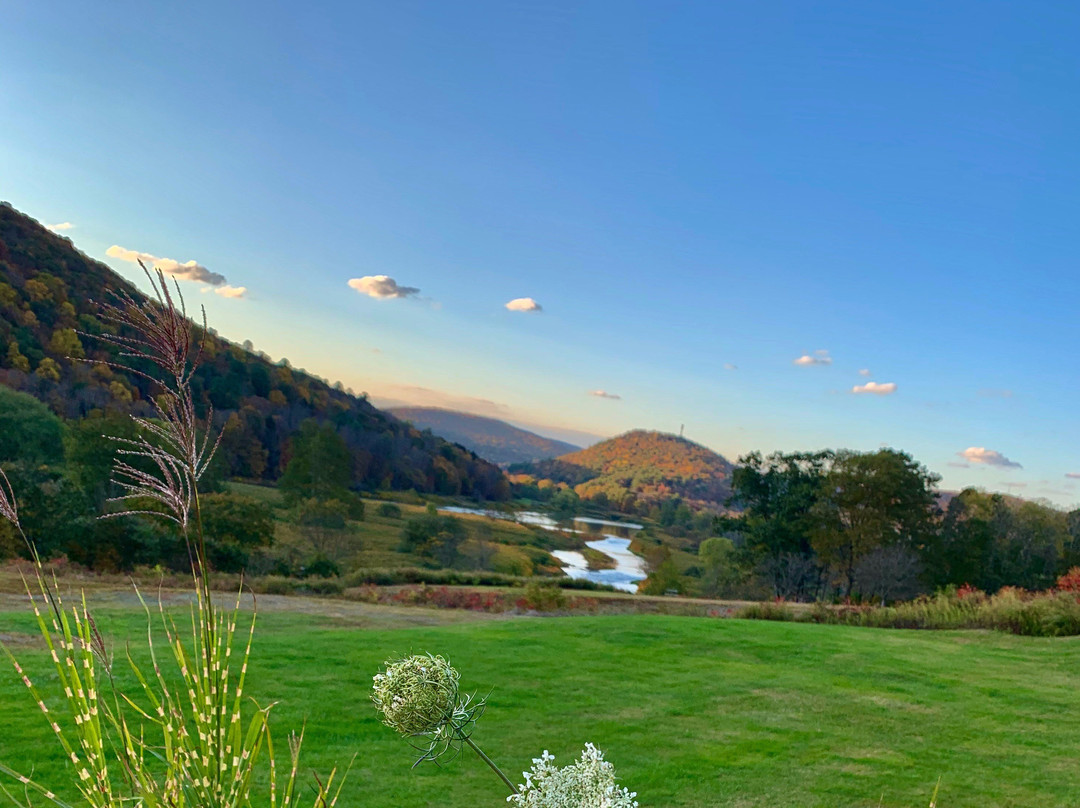 Smith's Colonial Motel主图