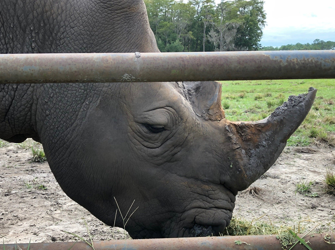 White Oak Conservation Center-Yulee必去景点