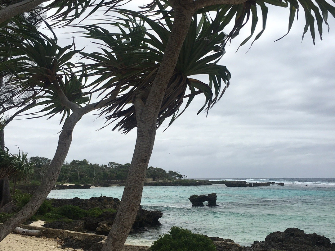 John's Authentic Island Tours景点图片