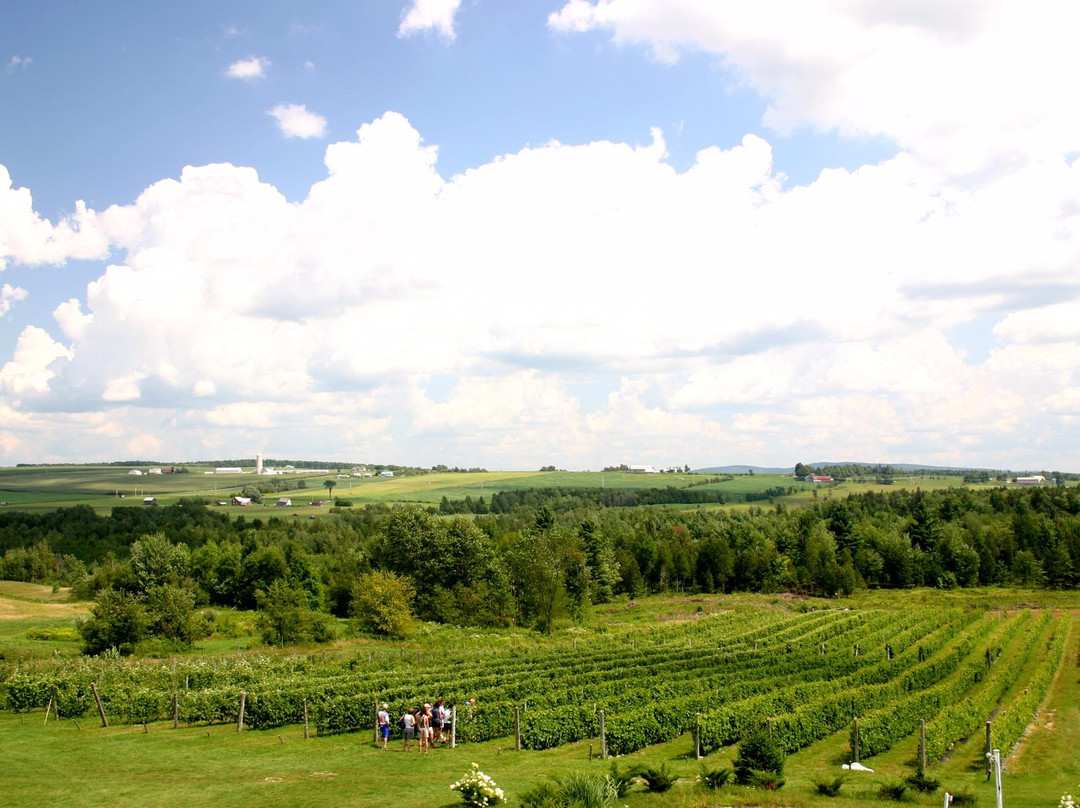 Vignoble Les Côtes du Gavet景点图片