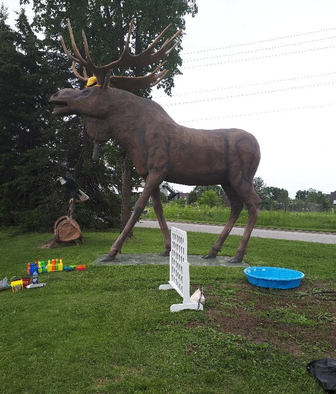 Max the Moose景点图片