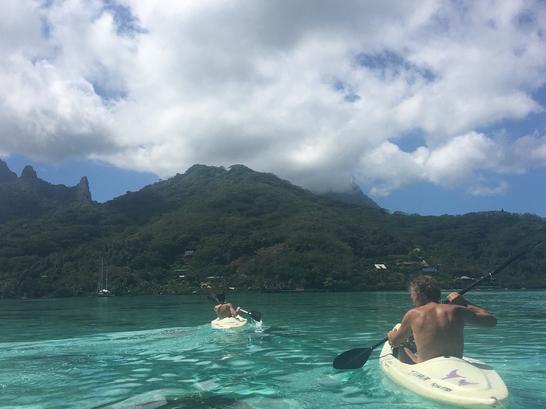 Fare D'Hote Tehuarupe Hotel主图