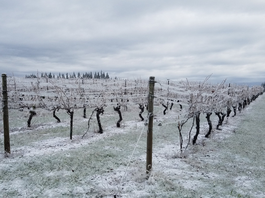 Marks Ridge Winery-Sweet Home必去景点