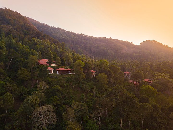 Marmalade Springs主图