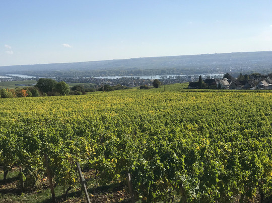 伯格茨瓦尔曾斯坦瑞雷斯城堡酒店主图