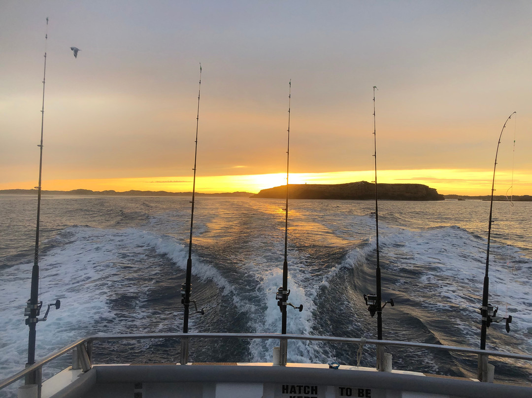Reef Encounters Fishing Charters景点图片