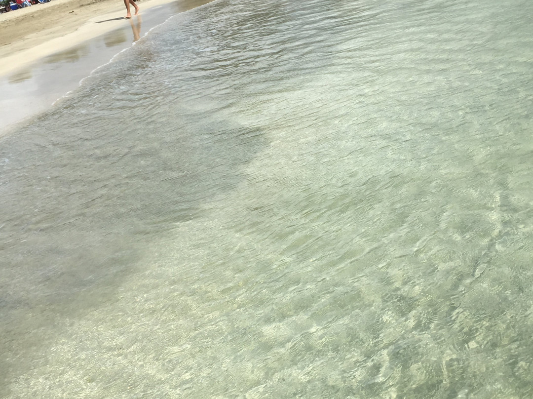 Balneario Punta Salinas-Toa Baja必去景点