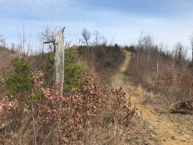 Knobstone Trail景点图片