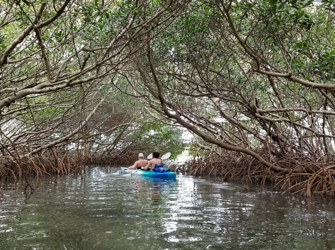 Island Kayak Tours, Llc