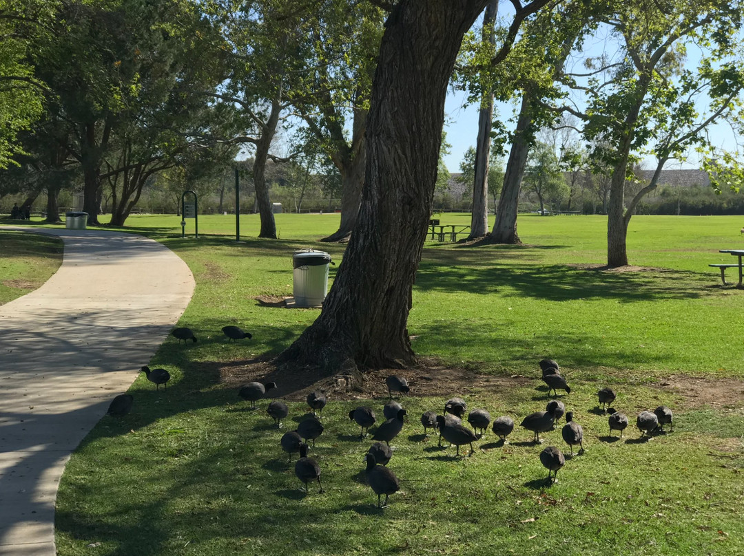 Brea旅游景点-Carbon Canyon Regional Park