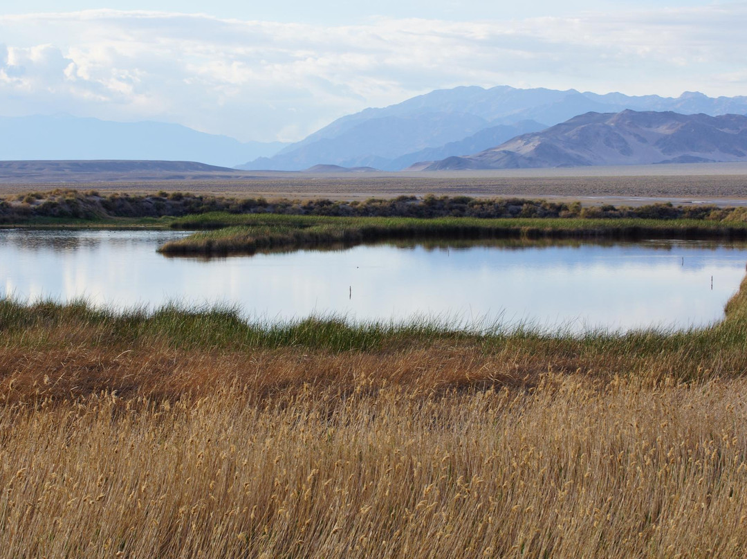 Saratoga Springs-死亡谷国家公园必去景点