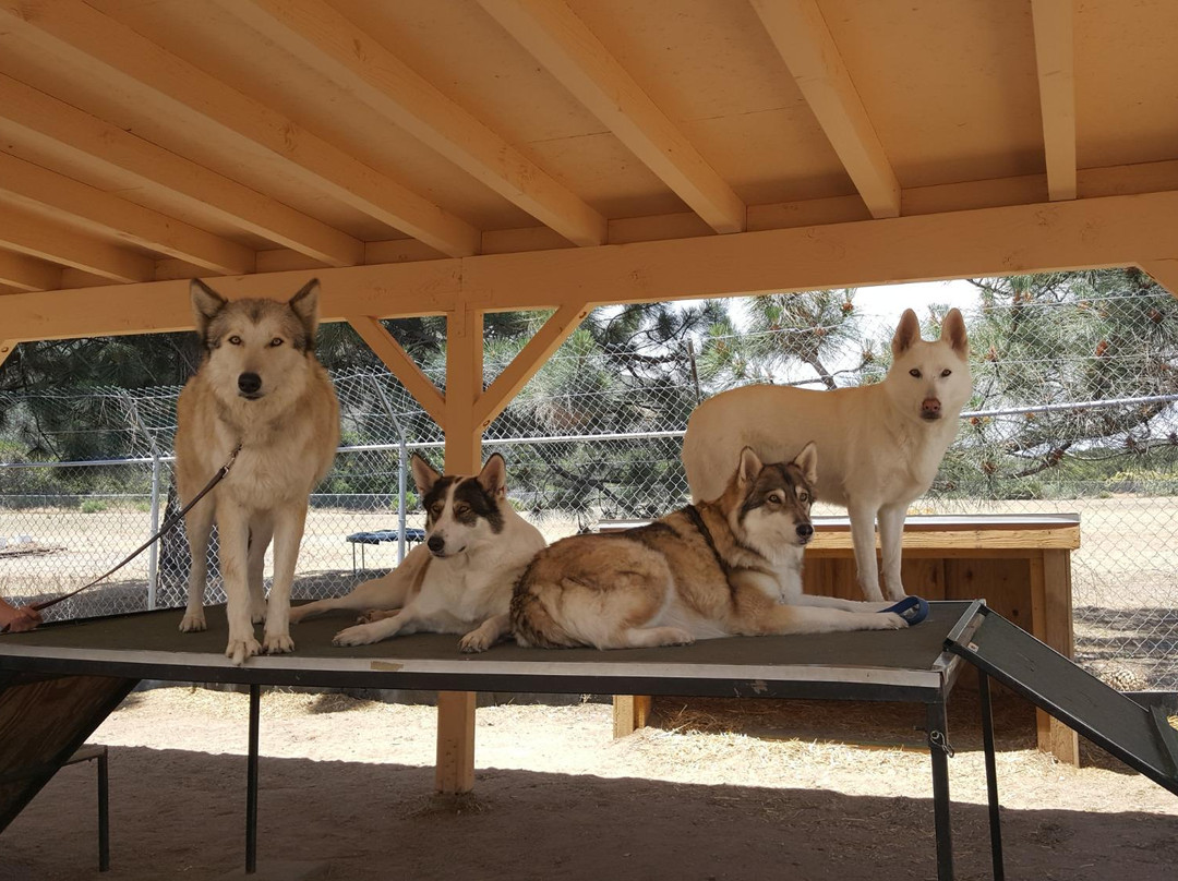 Shadowlands Foundation