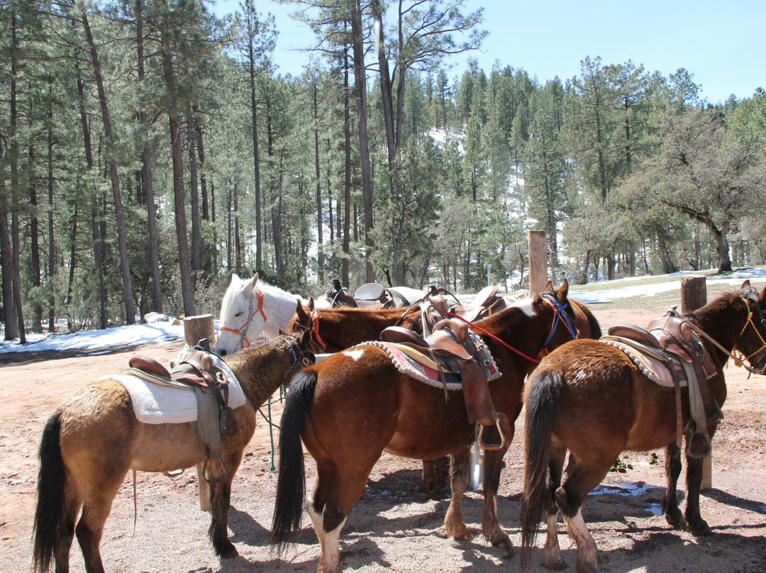 Kohl's Ranch Stables-Payson必去景点