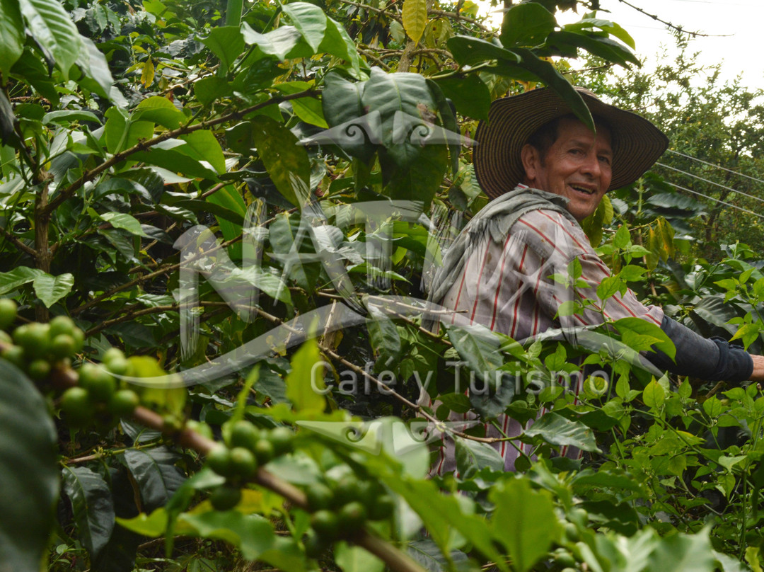 Nativa Cafe & Turismo-Filandia必去景点