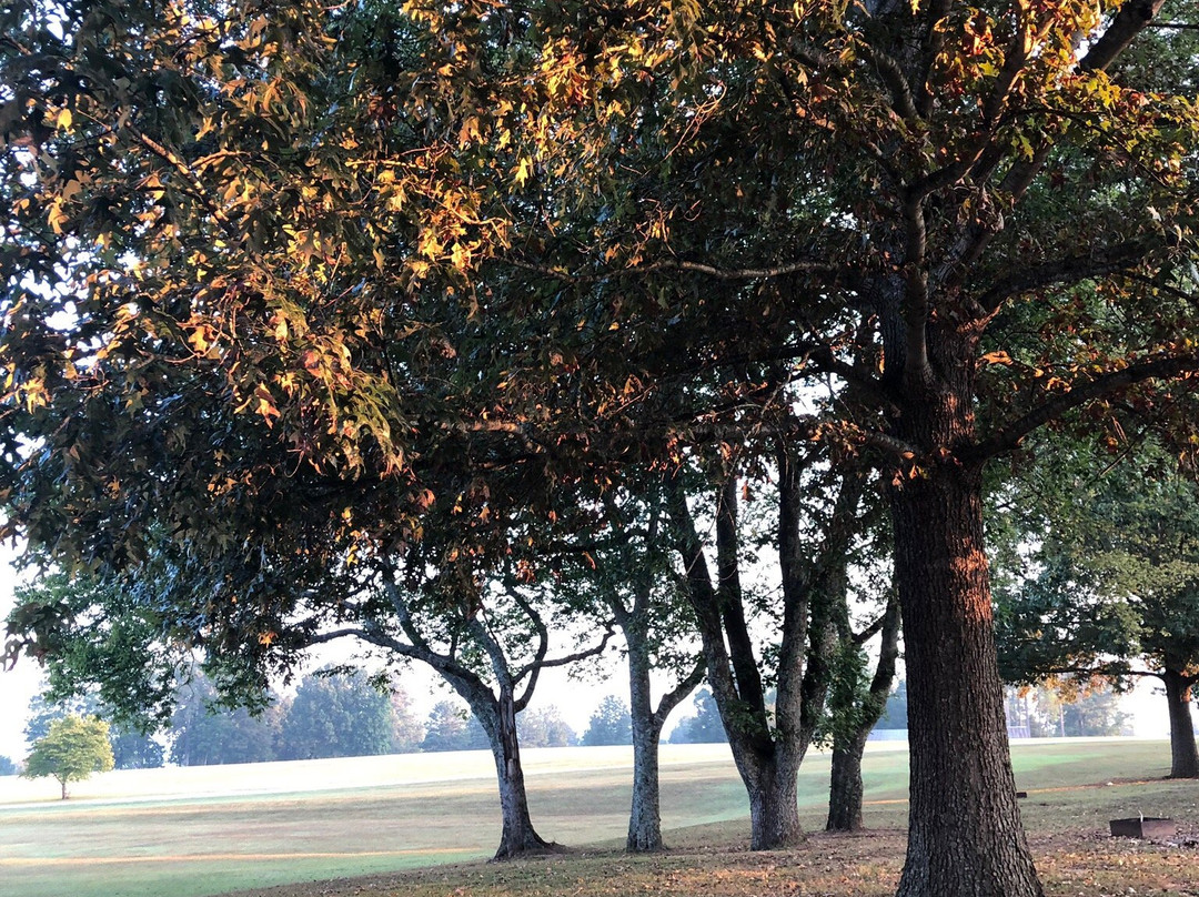 Sharon Johnston Park-New Market必去景点
