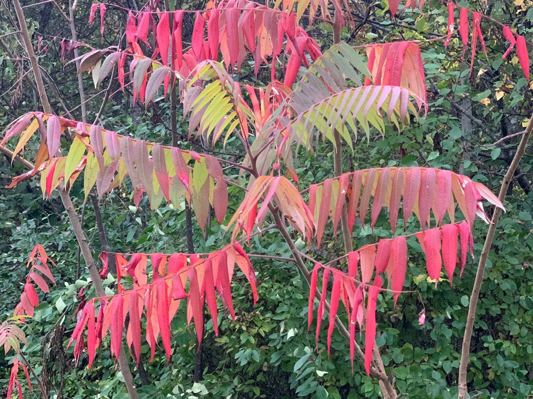 Inn at Clearwater Pond主图