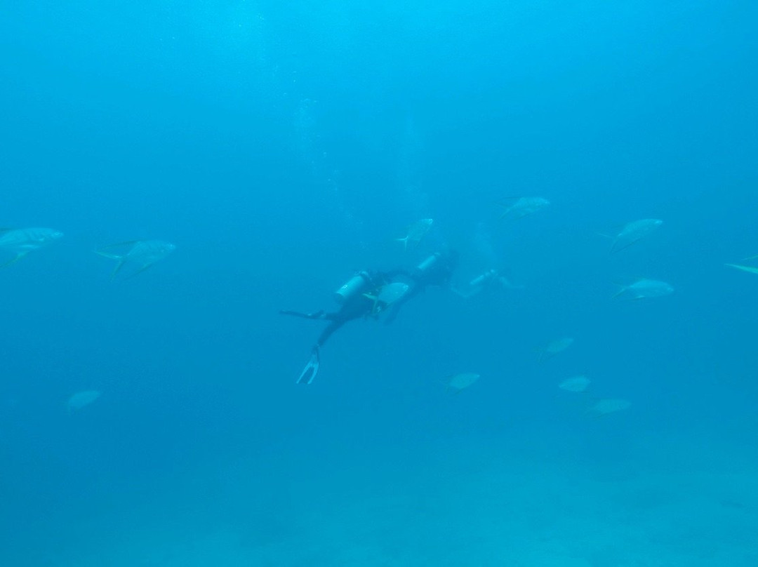 El Duque Adventures-拉巴斯必去景点