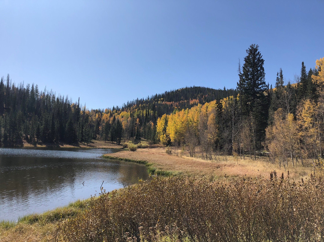 Pearl Lake State Park-Clark必去景点