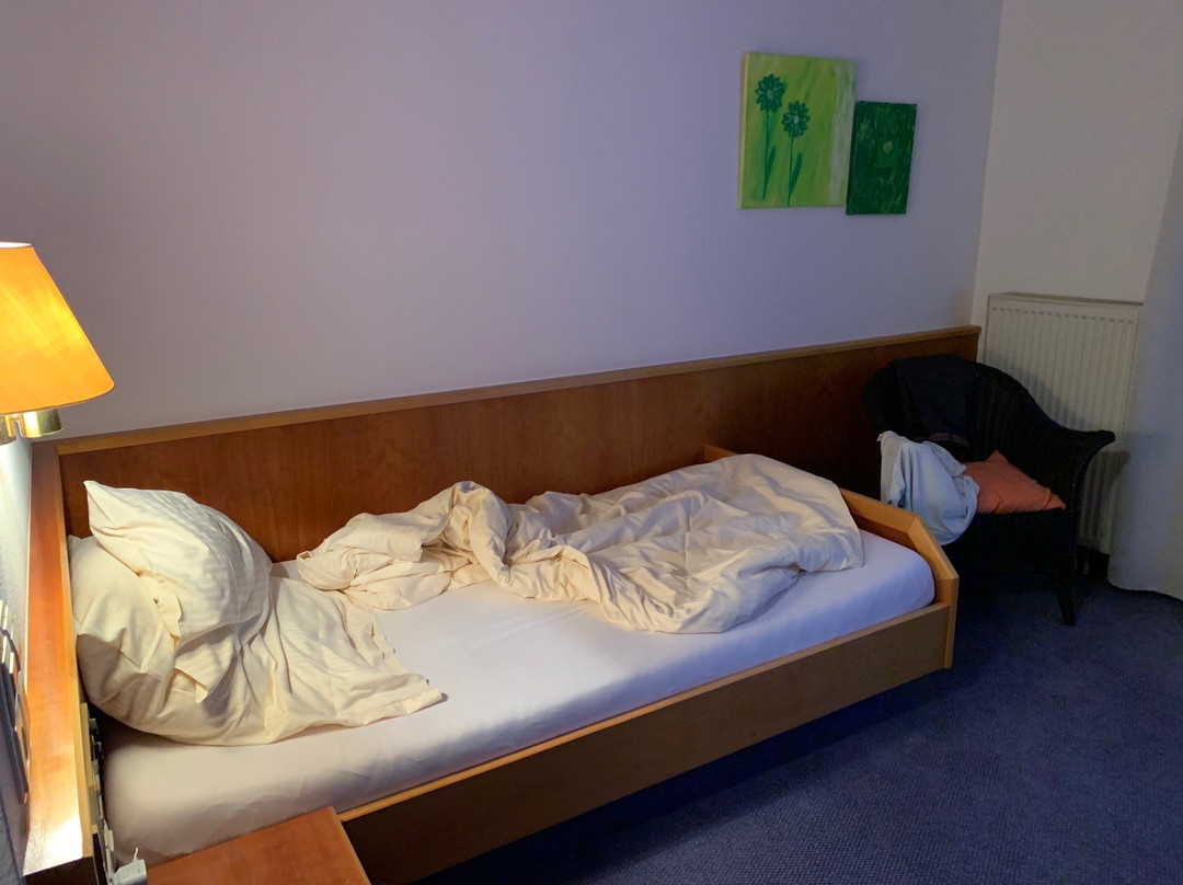 Hotel Gasthaus zum Bock主图