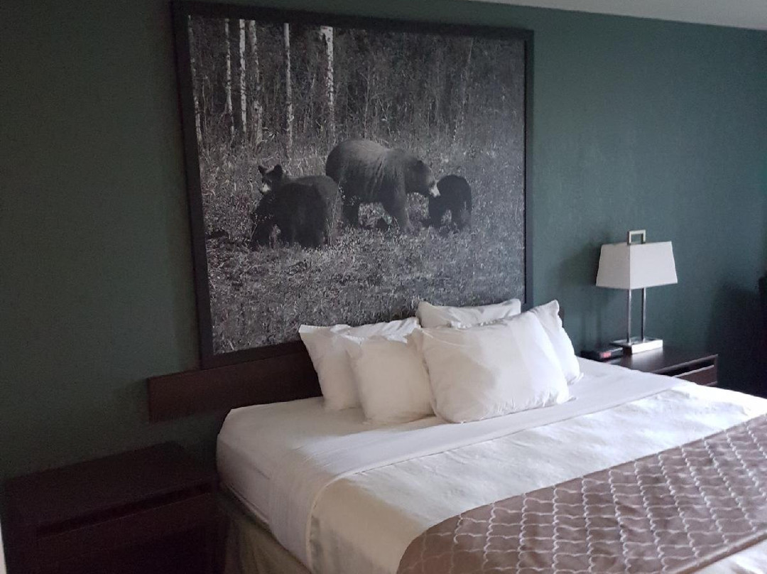 Super 8 by Wyndham Dauphin主图