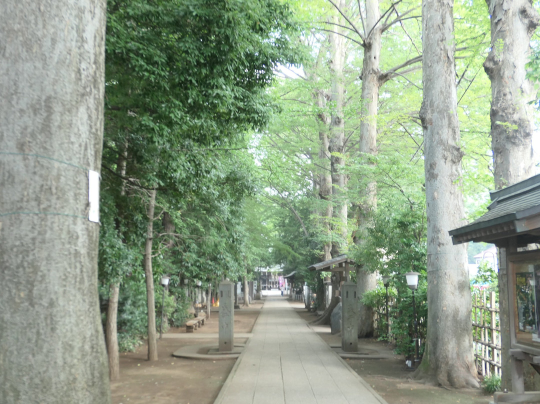 Kodaira Shimmei-gu-小平市必去景点