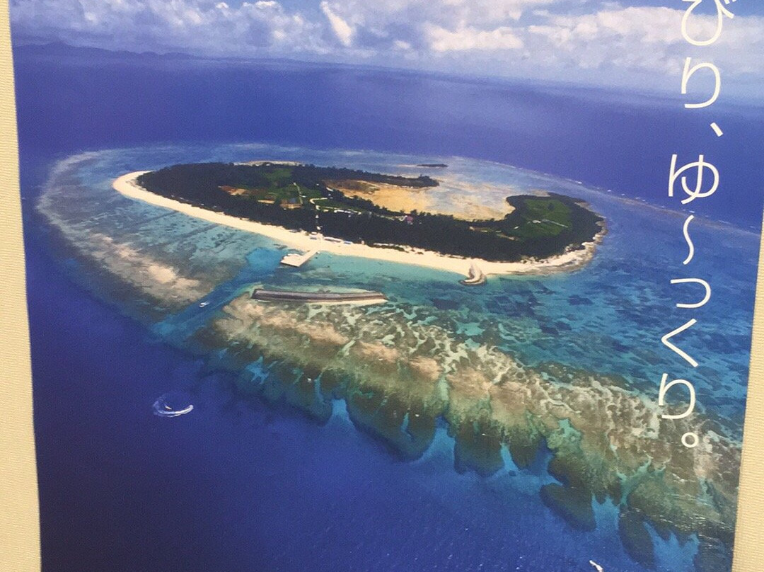 Minami Daitojima Island景点图片