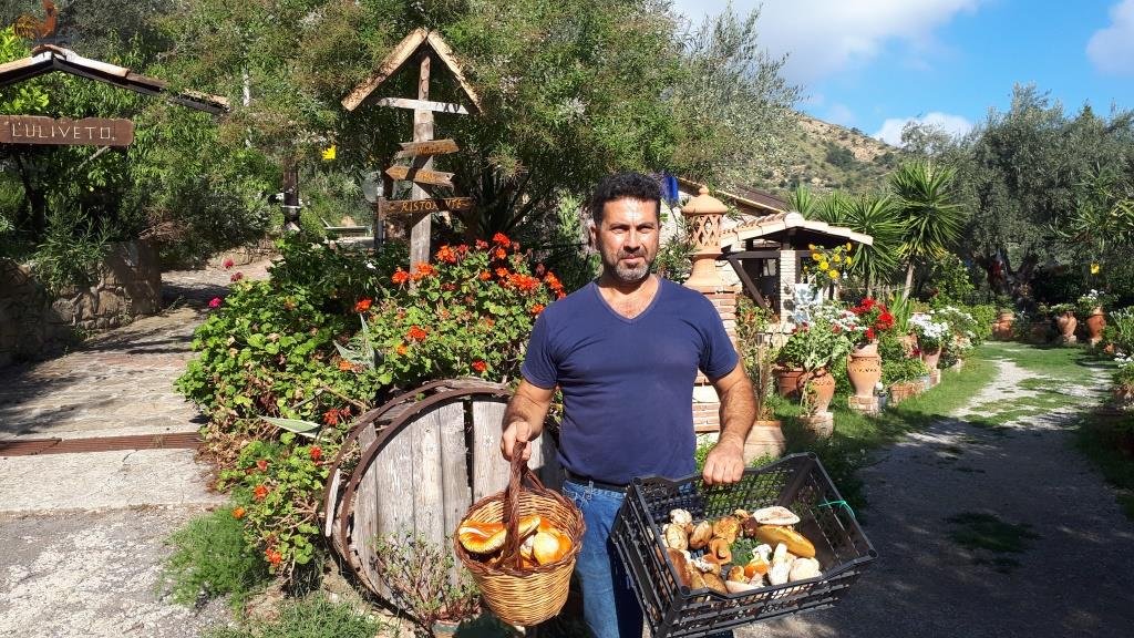 Agriturismo L'Uliveto-餐饮