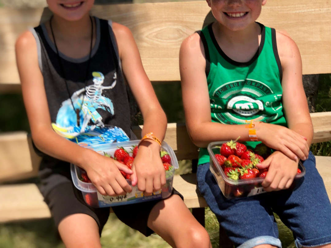 Quinn Farm-Notre-Dame-de-l'Ile-Perrot必去景点