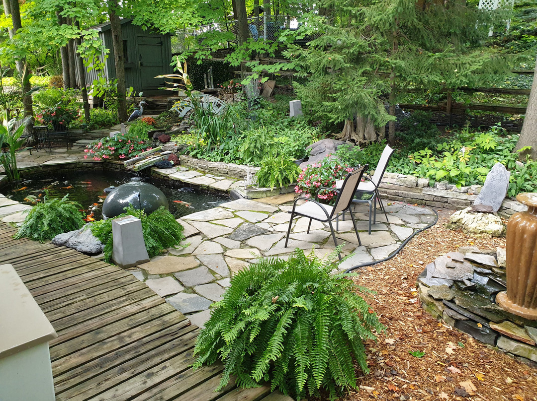 Forest Hill Bed and Breakfast主图