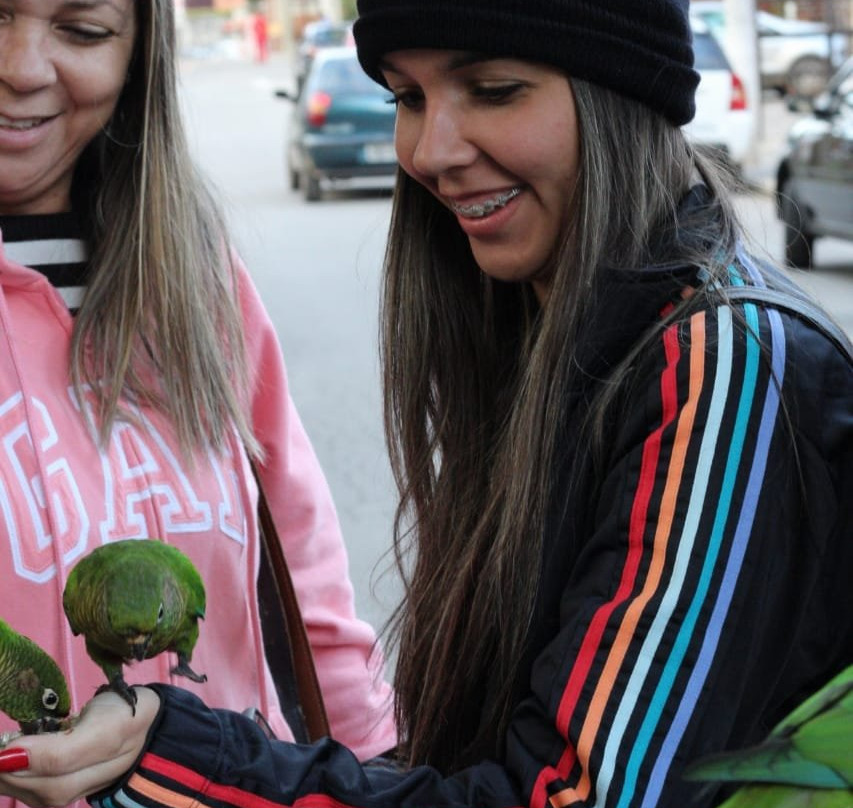 Vila Capivari-坎普斯－杜若尔当必去景点