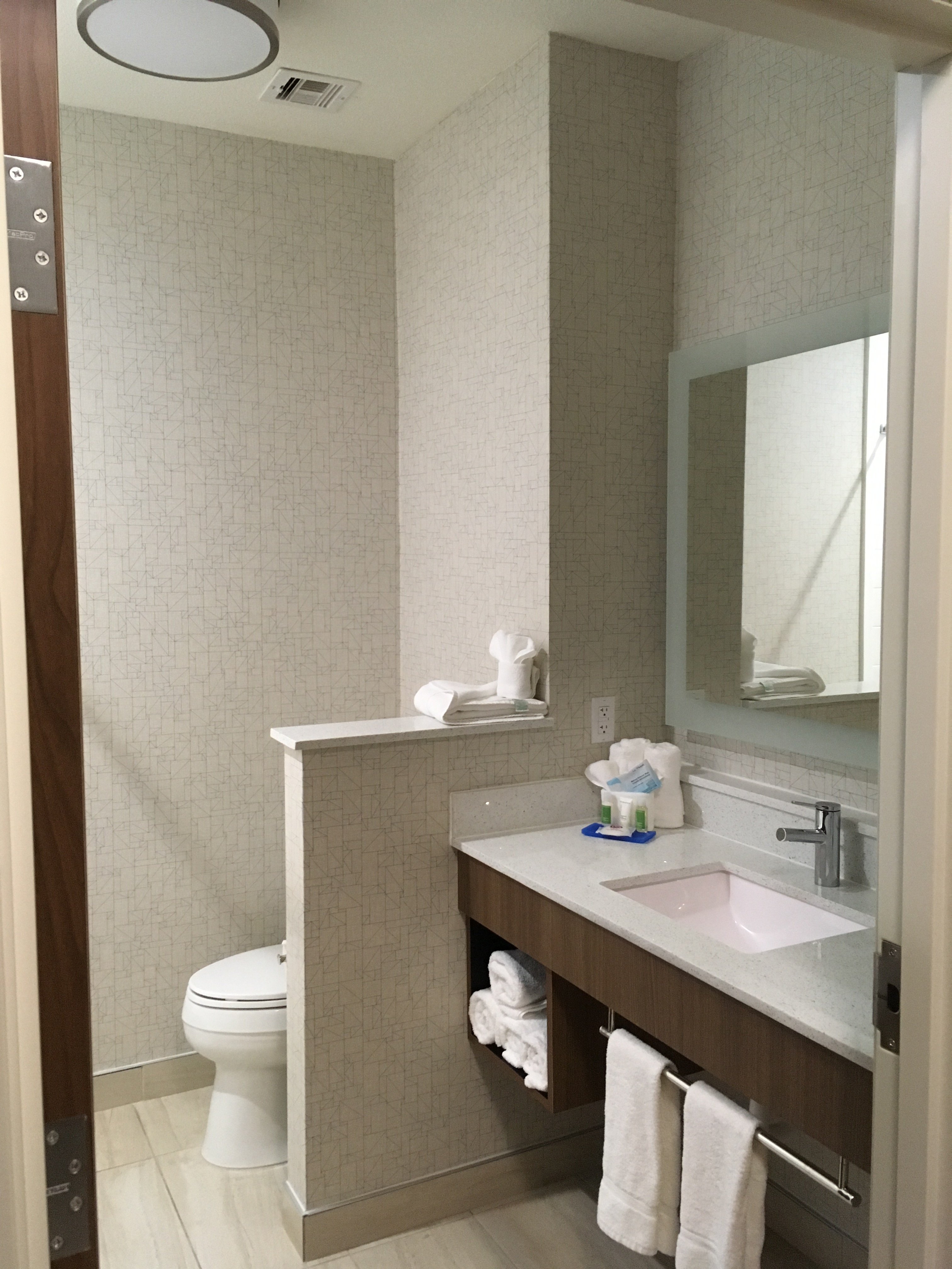 Holiday Inn Express & Suites Dalhart, An Ihg Hotel-浴室